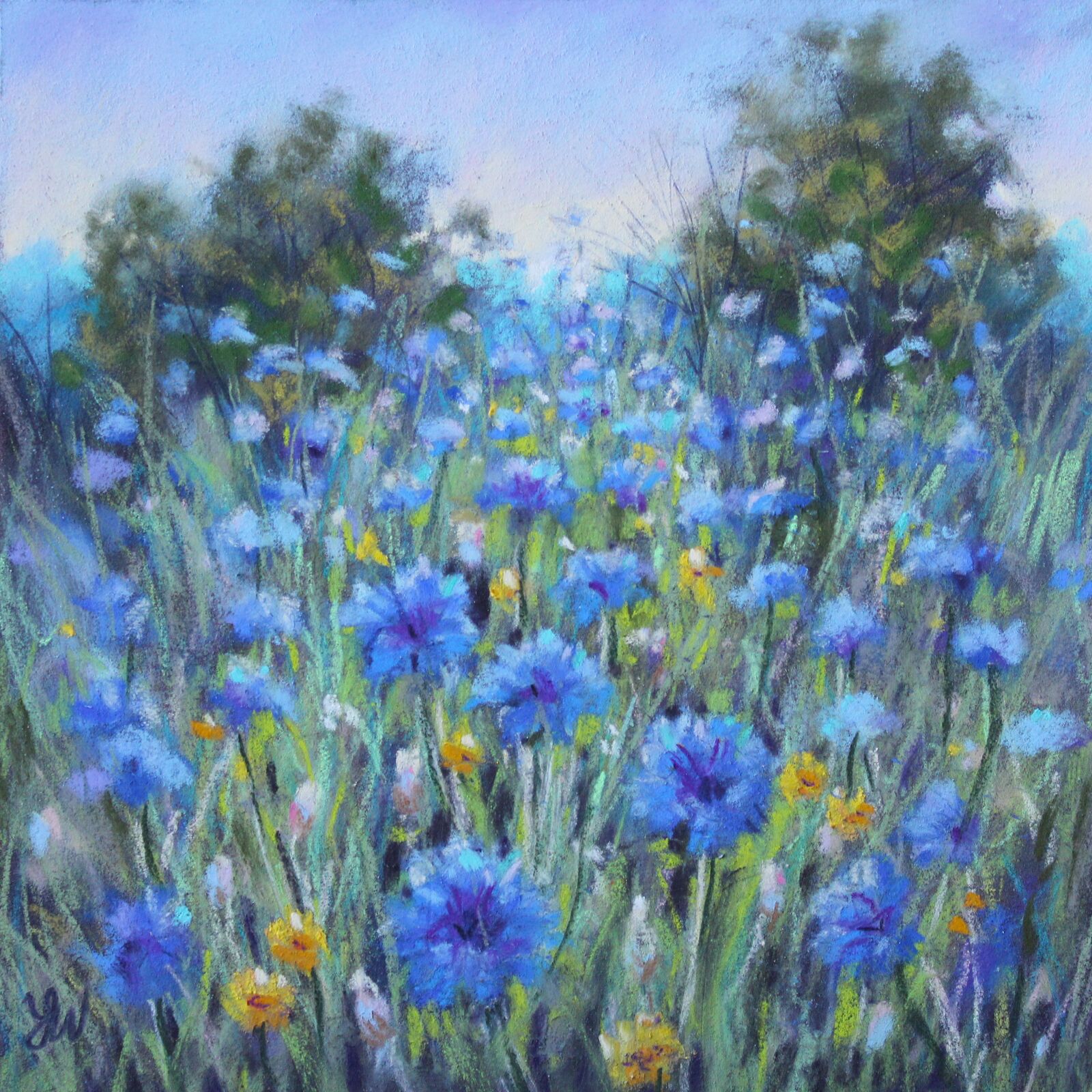 Quiet Blue
