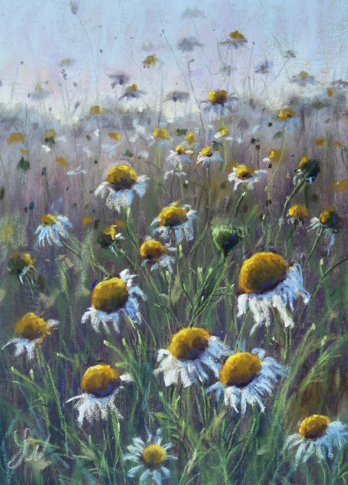 Meadow light