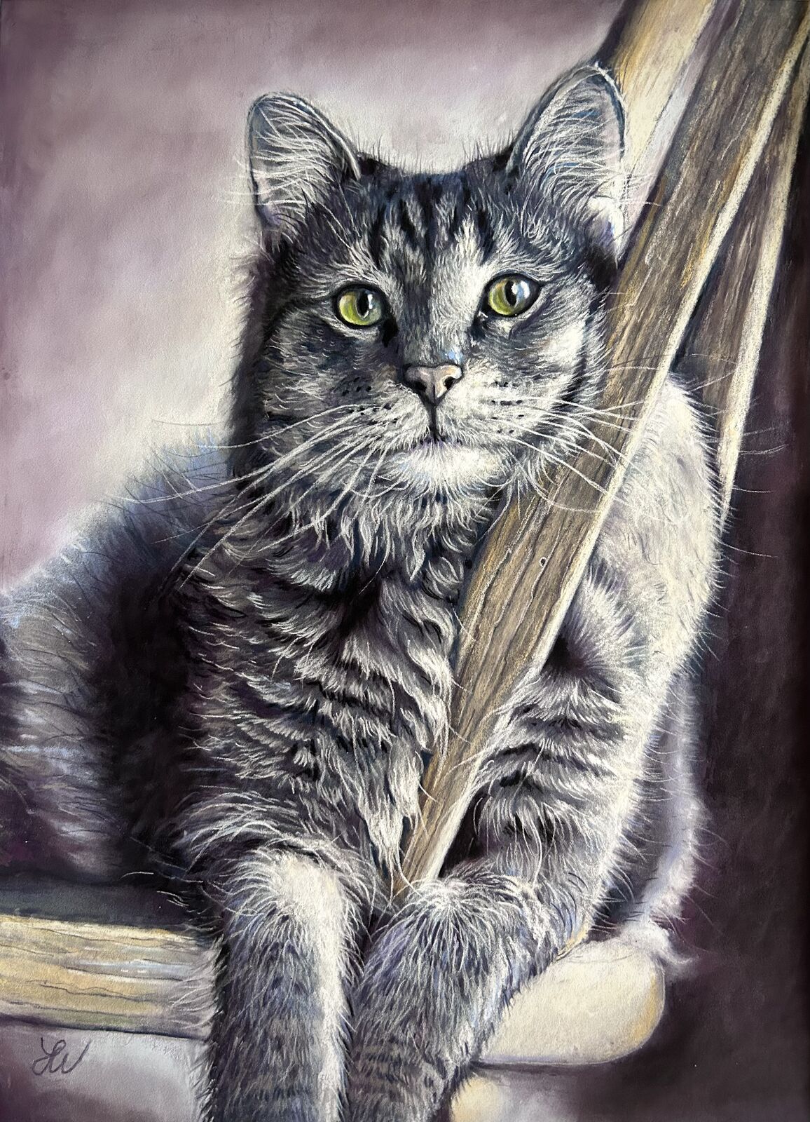 Cat on chair