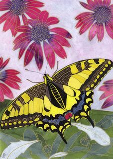 SWALLOWTAIL BUTTERFLY by Caroline Duffield
