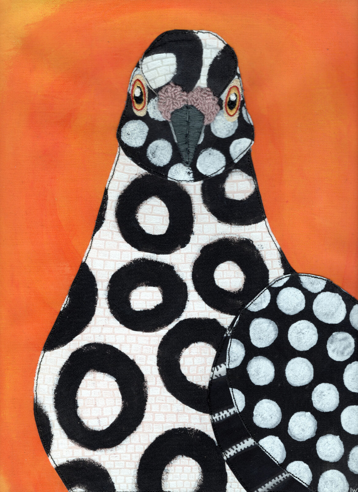 Reuben: A Pied Urban Pigeon
