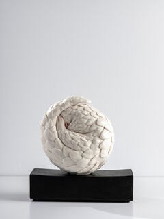 Pangolin by Jennie Mccall