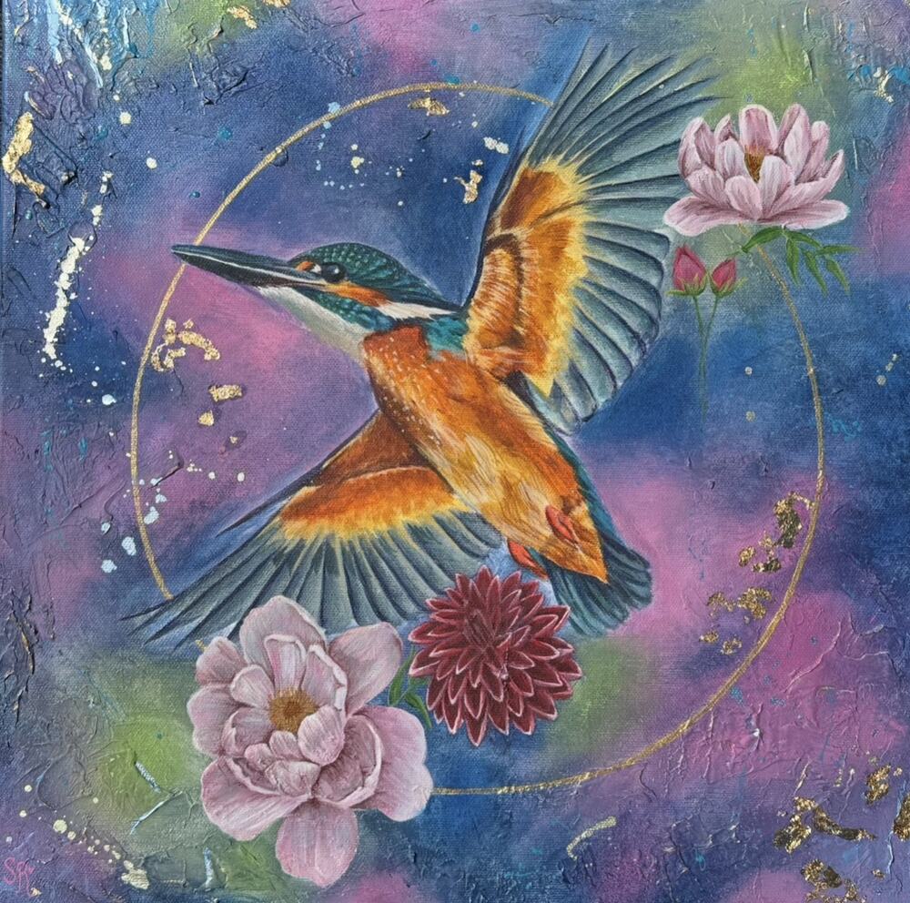 Clifford’s Kingfisher
