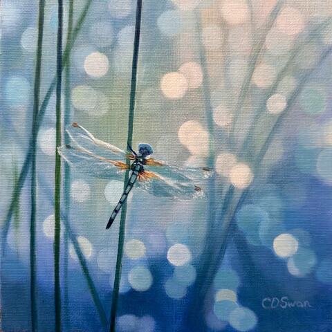 Wings of Glass