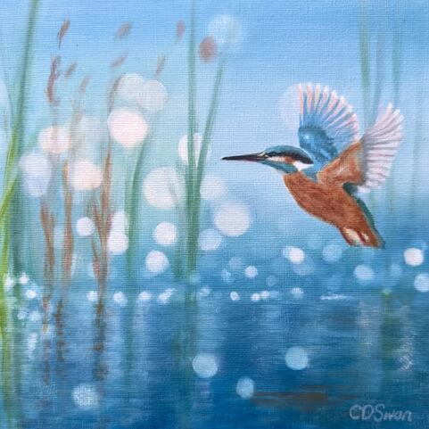 Kingfisher's Flight