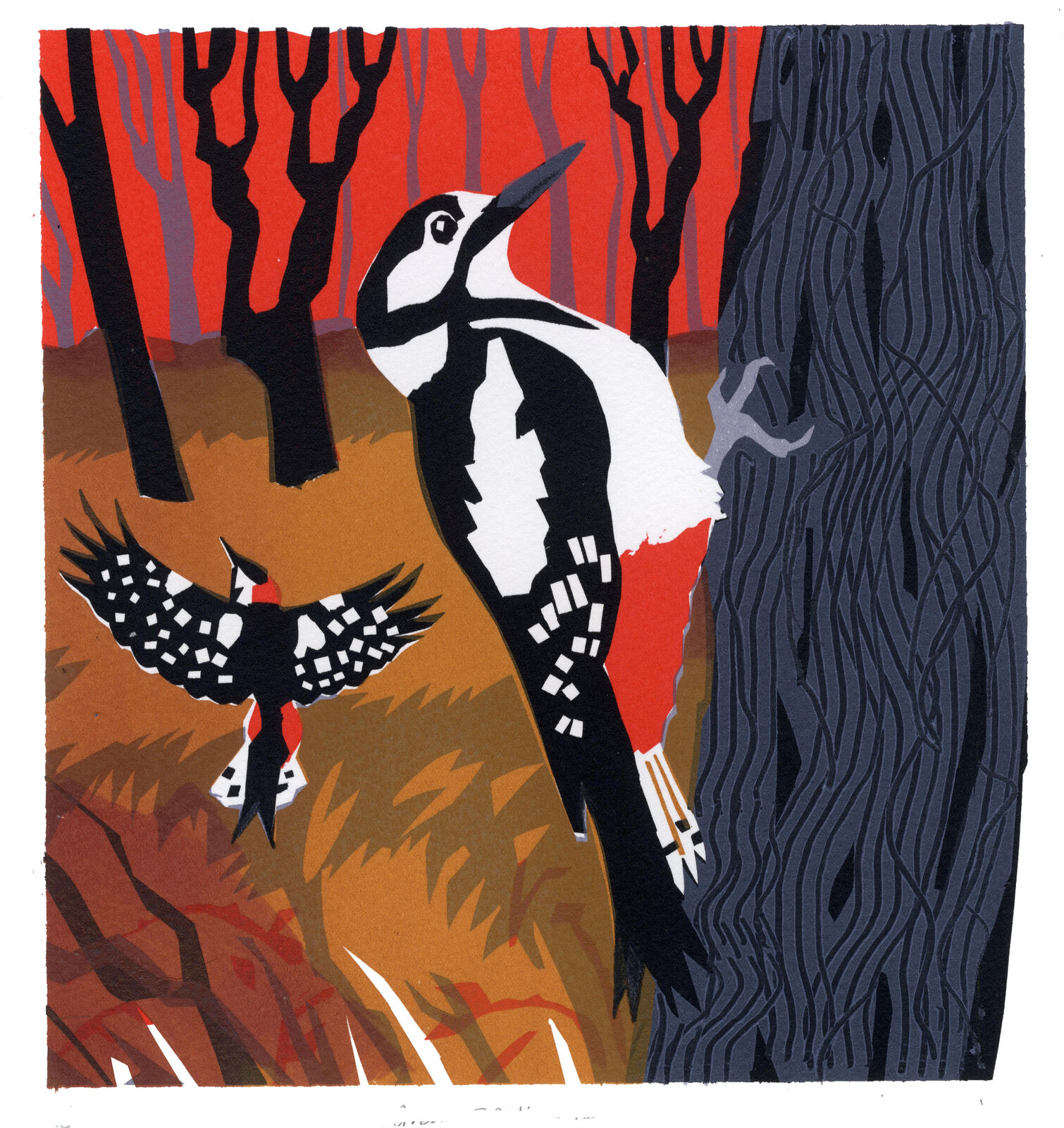Great Spotted Woodpecker by Carry Akroyd