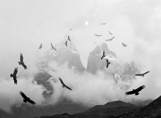 El Condor Pasa by Andrew Carter