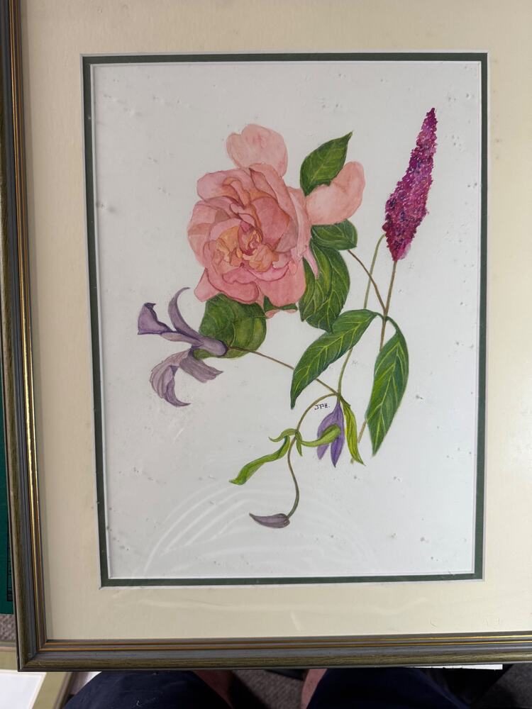 Summer Flowers