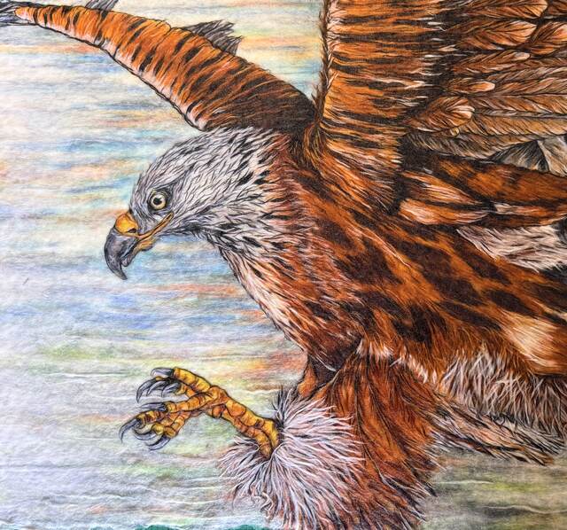 Claws Out