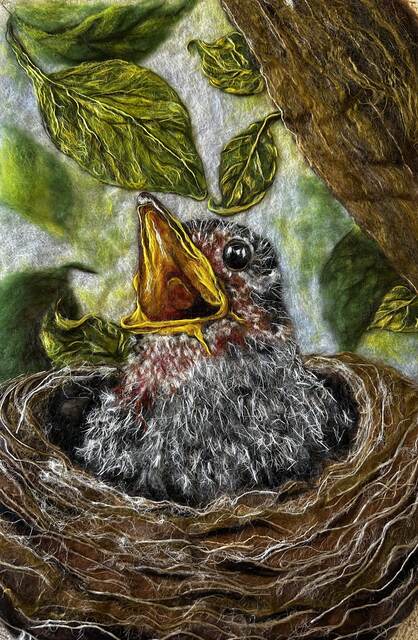 Hungry Fledgling