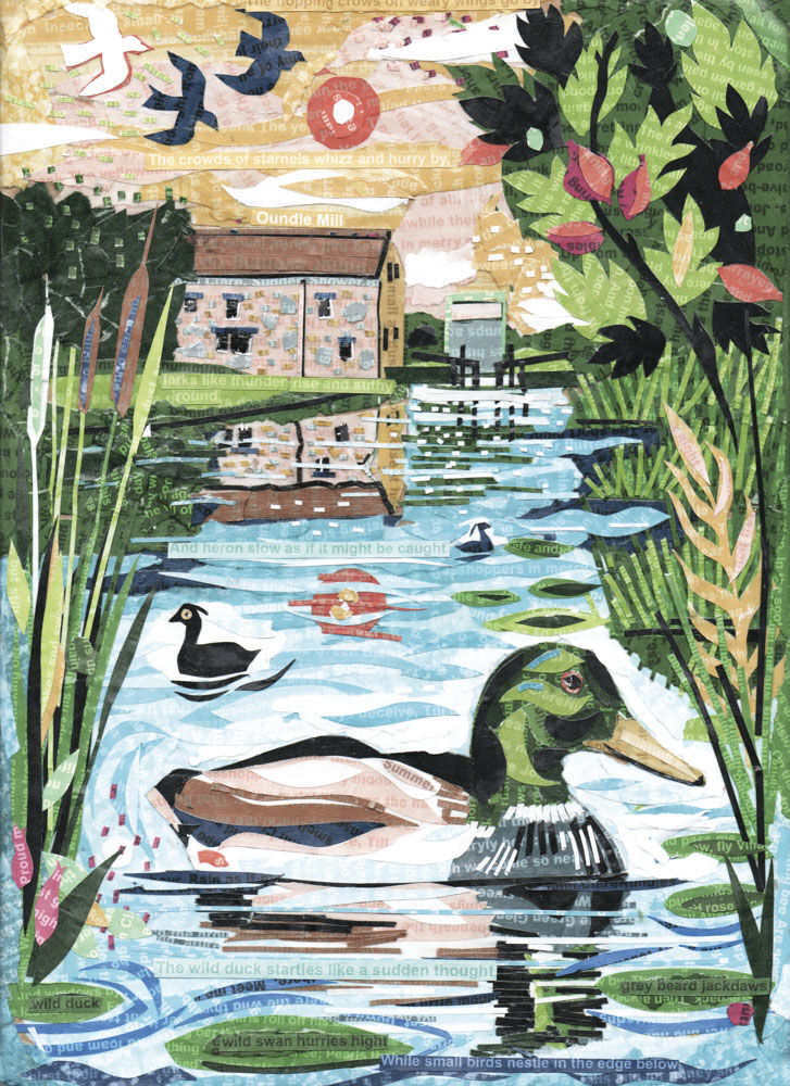 A Duck Startles by Jamie Poole