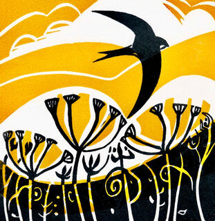 Towards Summer - Downland Swift by Sorrell Kinley