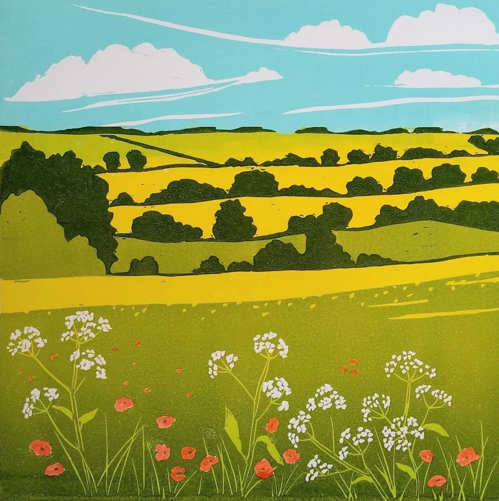 Fields of Northamptonshire by Marlene Snee