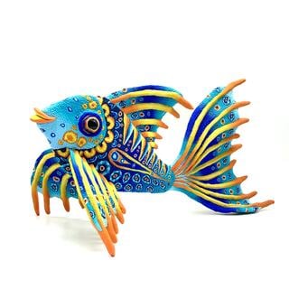 The Friendly Spine Fish by Fiona Abel-smith