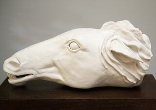 Apollo by Helen Lopez-biggin