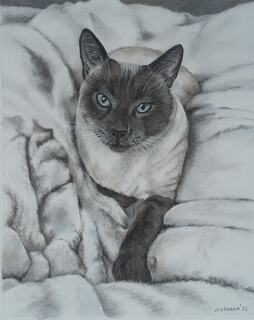 Baby's got blue eyes by Jennifer Graham