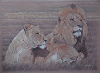 Power Couple by David Sandell