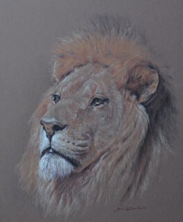 Handsome Ghana by David Sandell