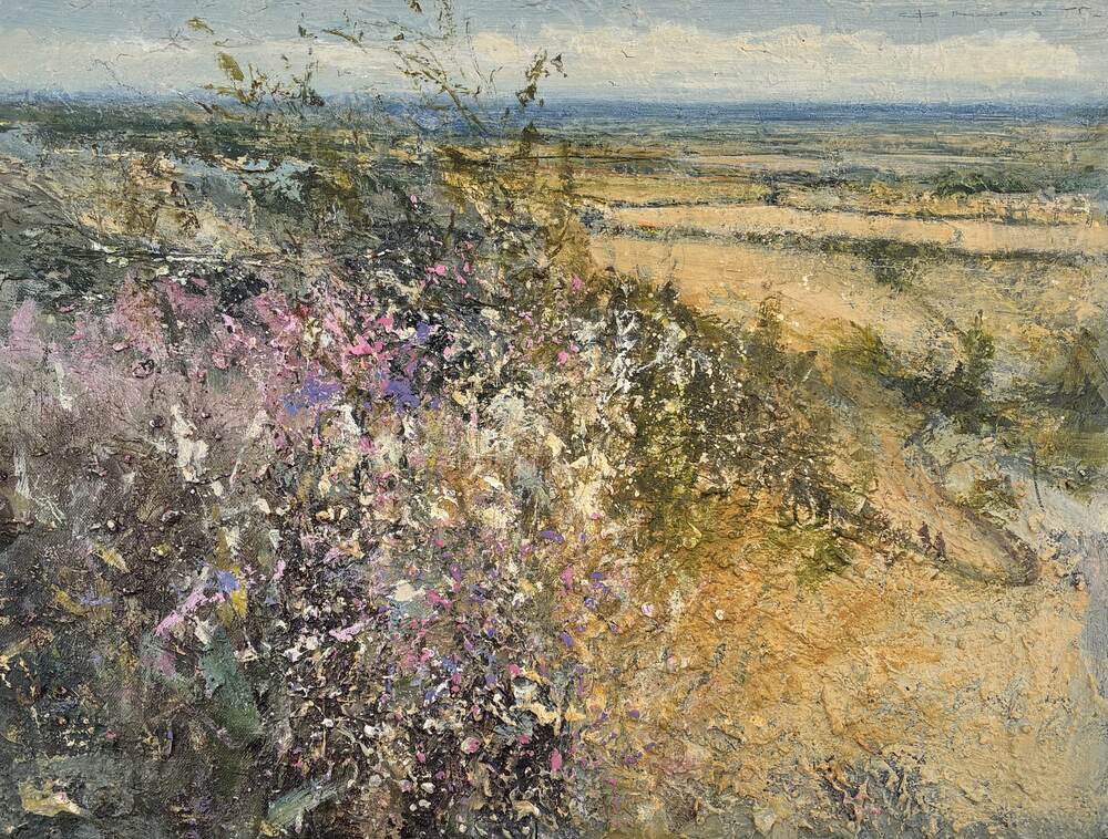 Summer heat, morning ramble