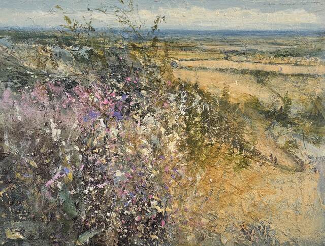 Summer heat, morning ramble