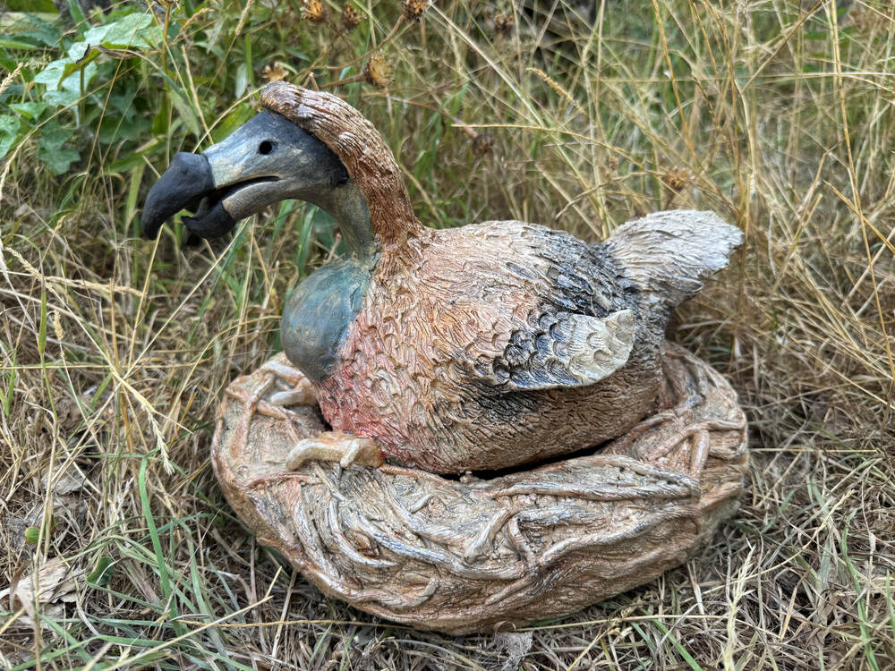 Dodo in the Grass