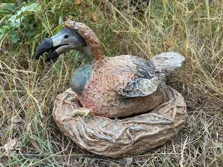 Dodo in the Grass by Angela Parker