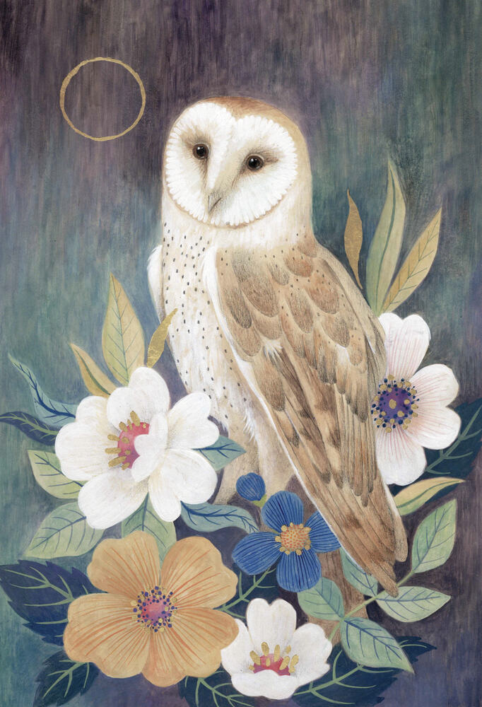 Summer evening Owl