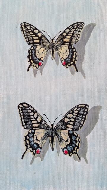 Swallowtail Butterflies