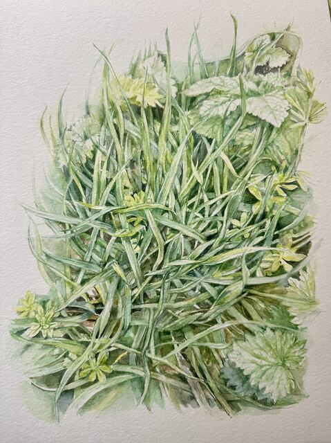 By the footpath