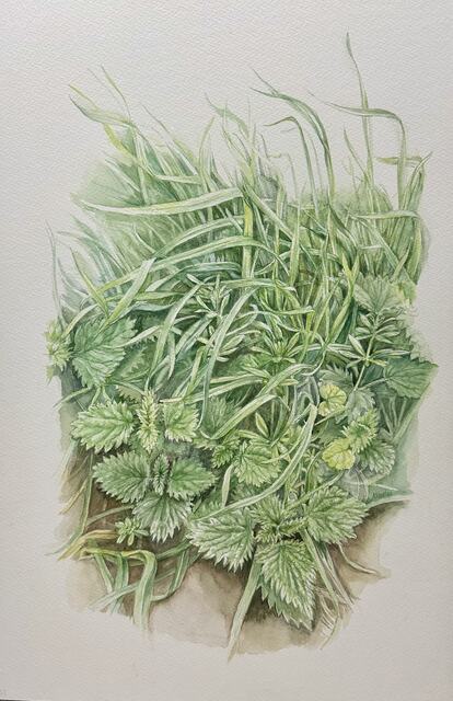 Windblown grasses
