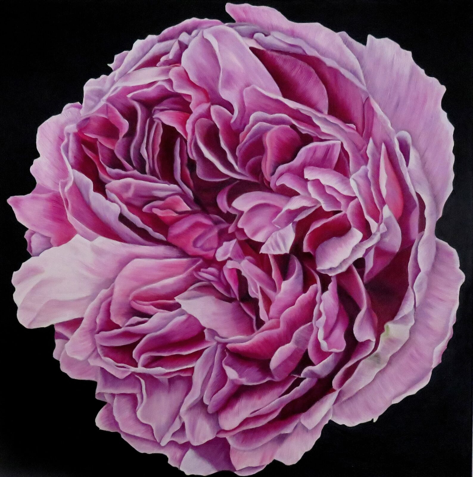 Charles Rennie Mackintosh Rose by Angela Stanbridge