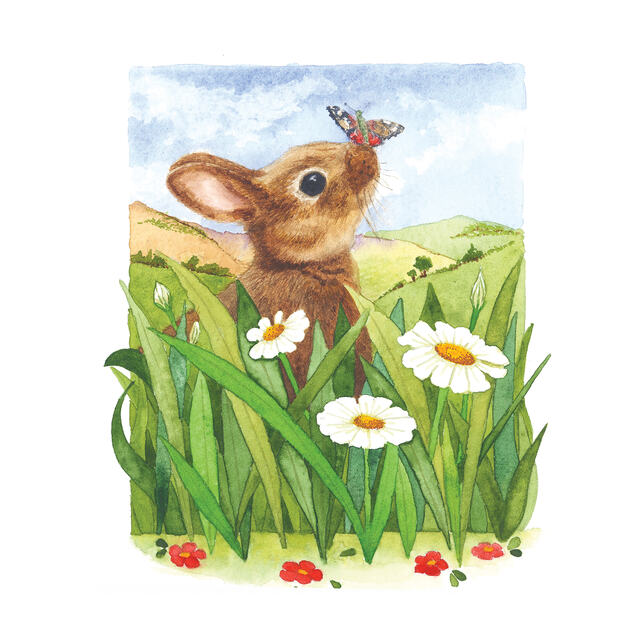 Rabbit And The Butterfly