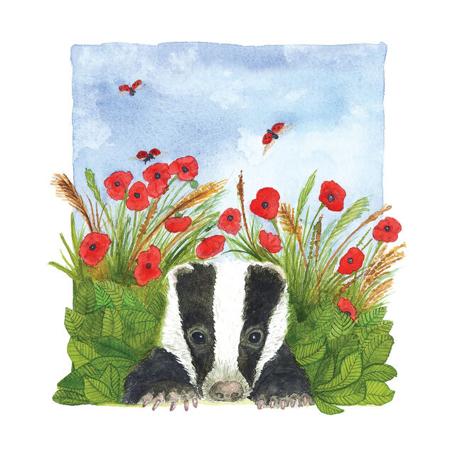 Badger and Poppies