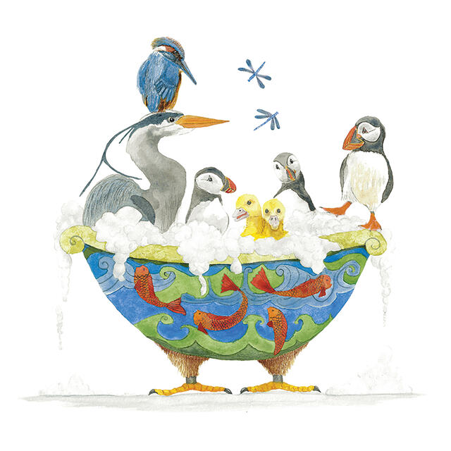 Bird Bath