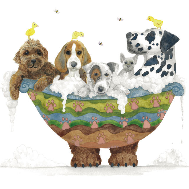 Dog Bath