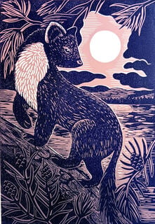 Pine Marten by Kerrie Suteu (Luminita Prints)