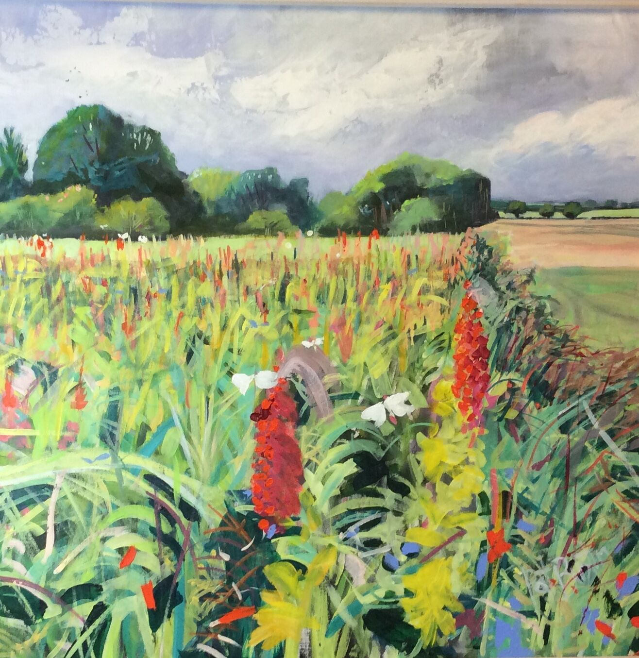 Wild Flowers and Butterflies, Ashby's Farm