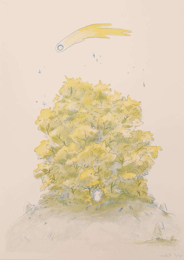 Komorebi Night