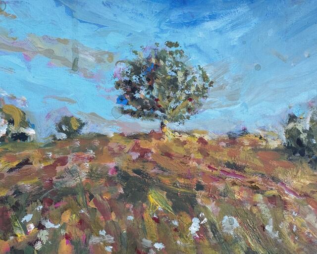 Evening light 