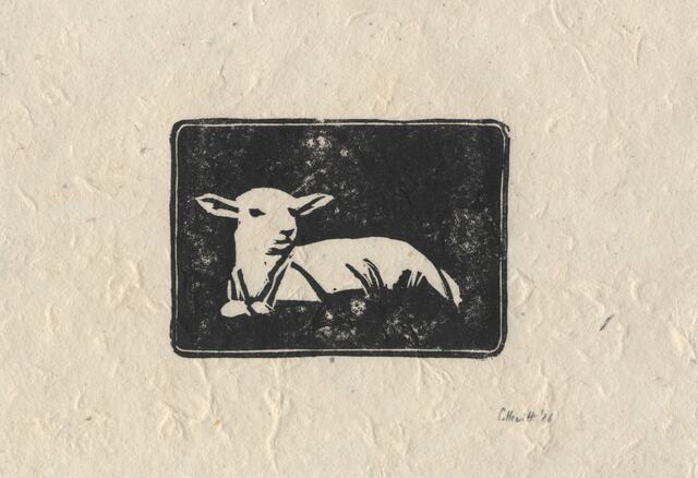 Lamb