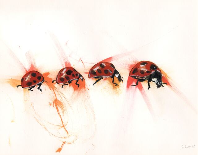 Punk Ladybirds