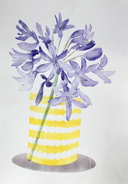 Agapanthus