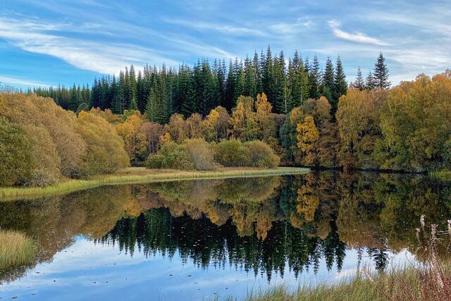 Reflections