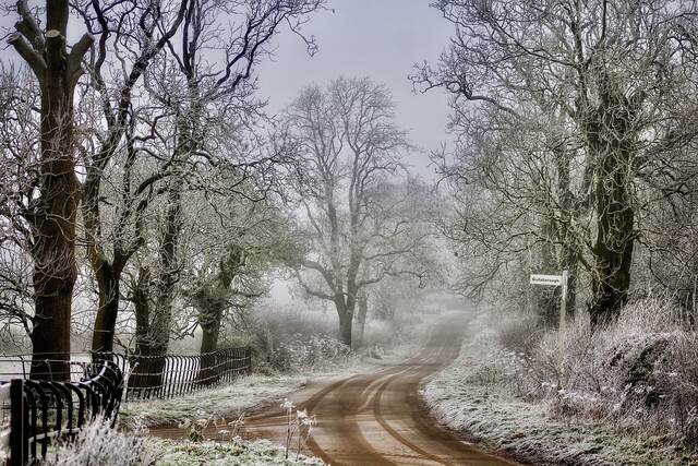 The Hoar Frost