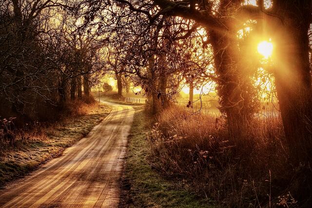 A Winter’s Morning
