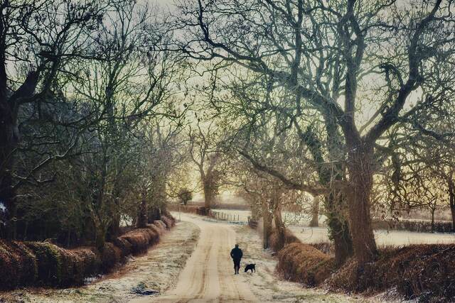 One man and his dog