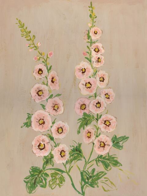 Hollyhocks