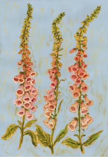 Three Foxgloves