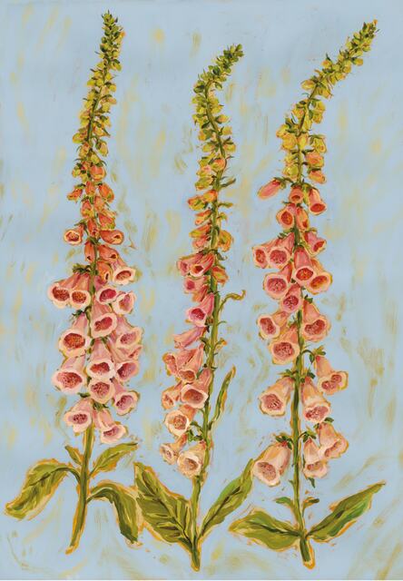 Three Foxgloves