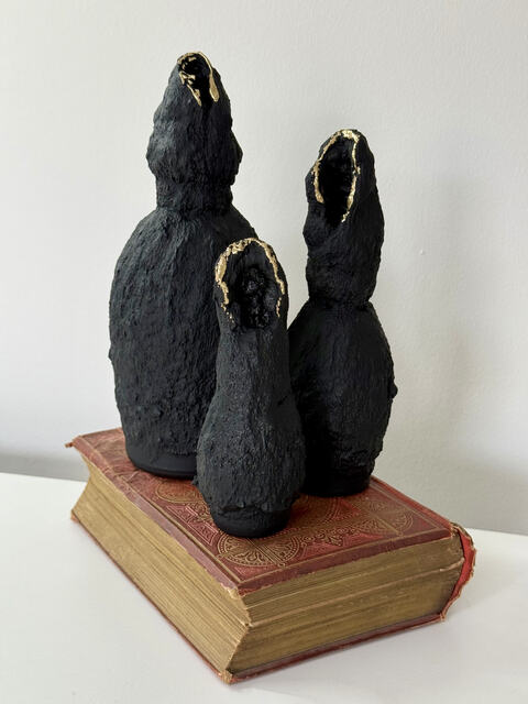 Feral Saints